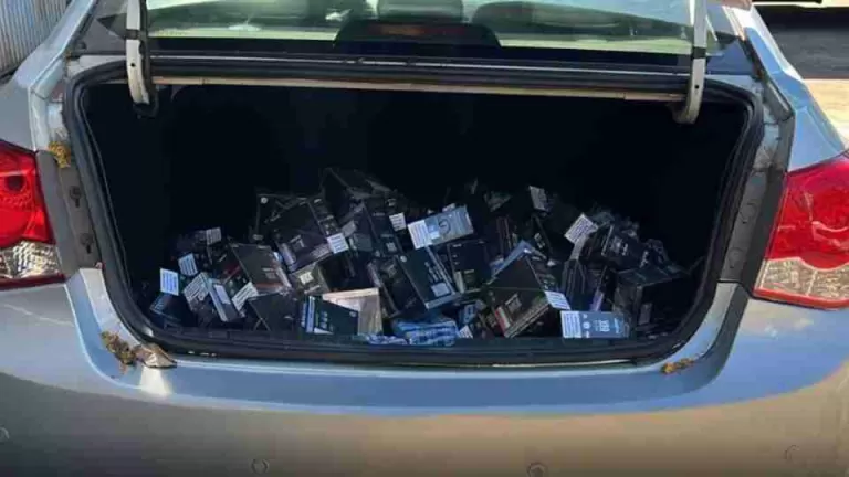 Ação conjunta apreende cerca de 600 cigarros eletrônicos em veículo em Foz do Iguaçu