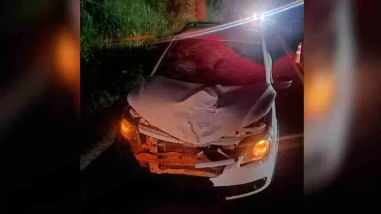 Pedestre morre atropelado na PR-484