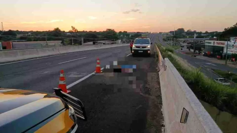 Homem morre atropelado na BR-376 