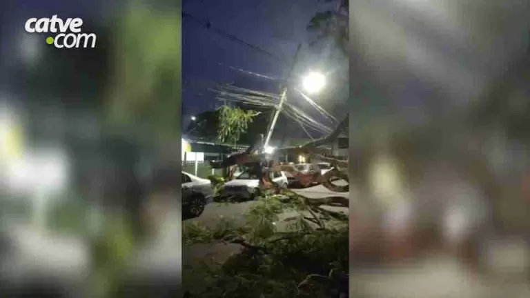 Árvore cai sobre carro e causa grandes danos durante temporal em Foz do Iguaçu