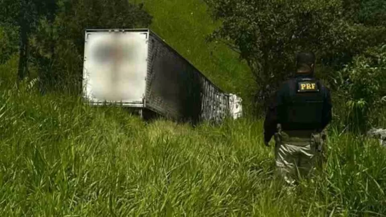 Caminhão sai da pista, pega fogo e caminhoneiro morre carbonizado
