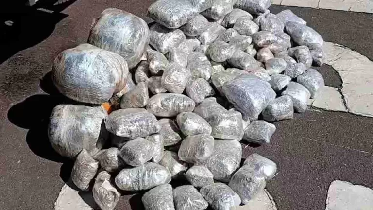 Perseguição termina com 74 quilos de maconha apreendidos na BR 163