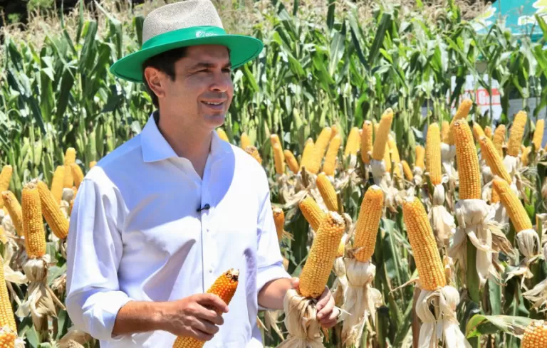 Show Rural é o espelho do Paraná: produtivo, moderno e competitivo, afirma deputado Alexandre Curi