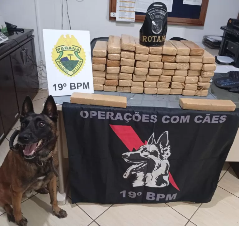 Quase 50 quilos de maconha são apreendidos em Entre Rios do Oeste