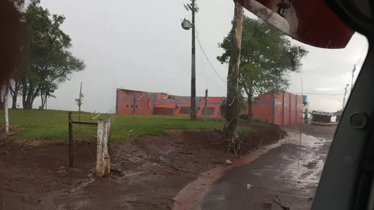 Temporal causa destelhamentos e derruba árvores em Quedas do Iguaçu