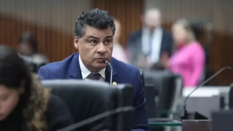 Proposta em trâmite na Assembleia Legislativa quer regulamentar o sepultamento de cães e gatos em cemitérios