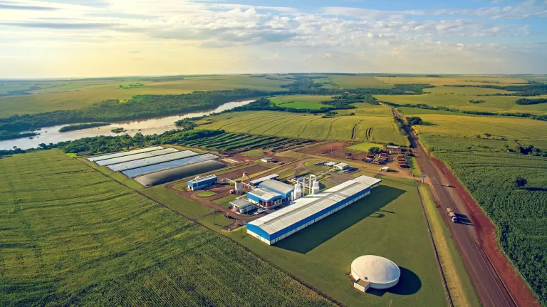 C.Vale amplia recebimento de raiz de mandioca