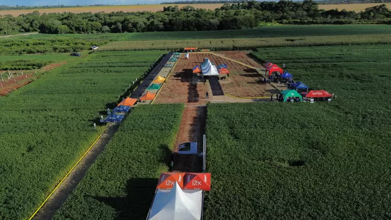 Dias de Campo da Copagril fortalecem transferência de tecnologia no Paraná e no Mato Grosso do Sul
