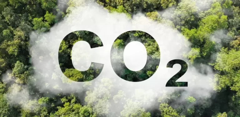 Mercado de carbono atrai produtores, mas exige cautela