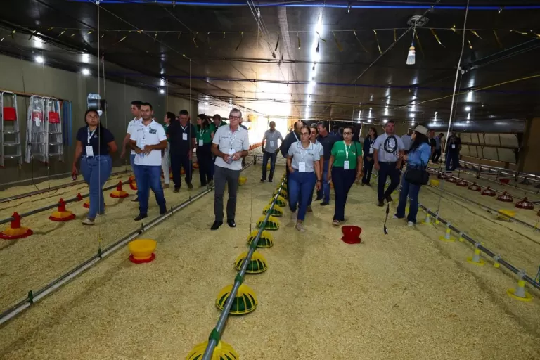Sistema Faep reinaugura aviário escola em Assis Chateaubriand