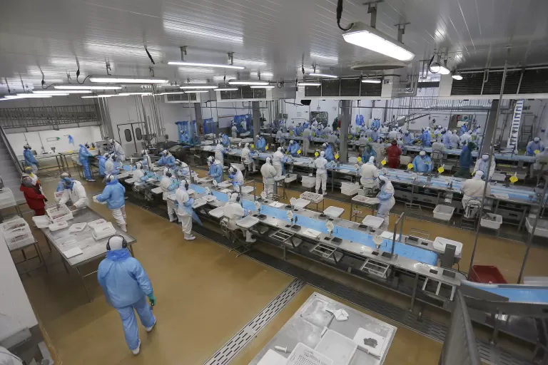 Indústria, comércio, serviços e mais: Paraná começa a semana com 25,8 mil vagas de emprego