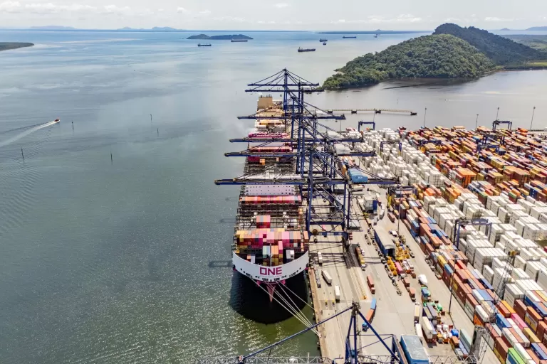 Porto de Paranaguá concentra quase metade das exportações de frango do Brasil