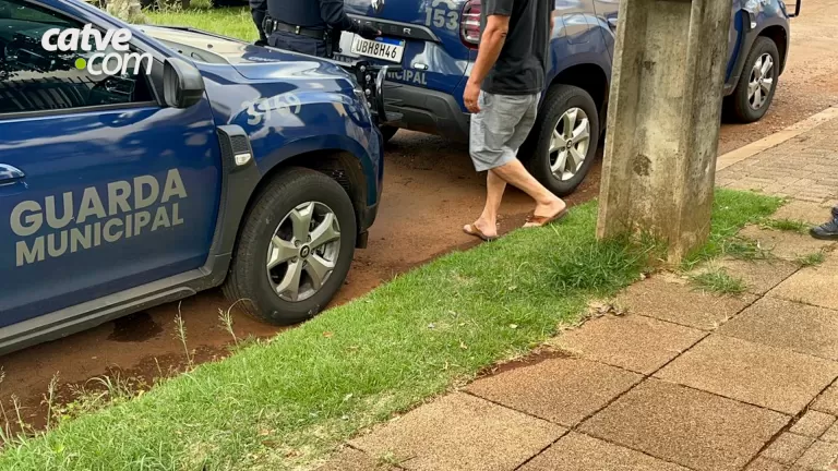 Cão com laceração grave é encontrado em casa e há suspeita de zoofilia