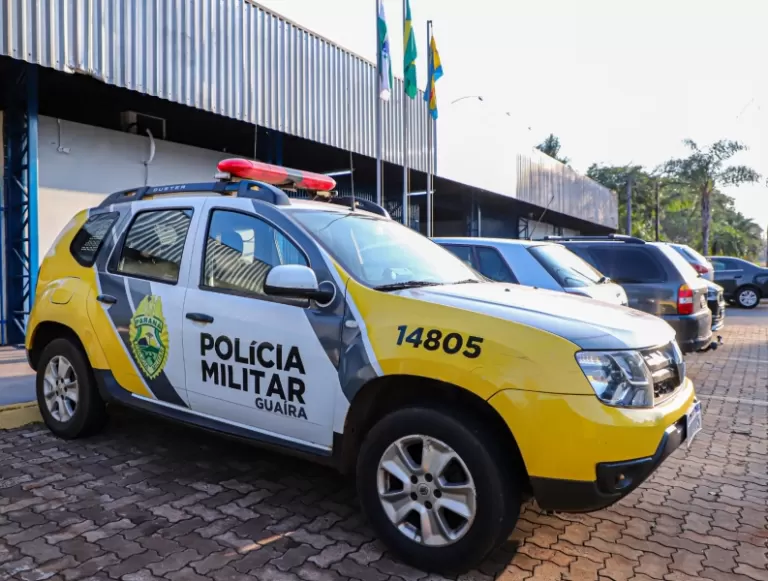 Pitbull é resgatado em situação de maus-tratos dentro de residência em Guaíra