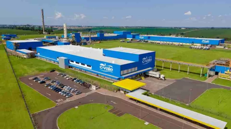 C.Vale amplia processamento de peixes em 14% em 2025