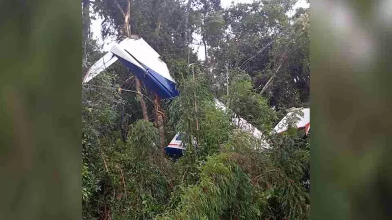 Avião de pequeno porte cai em área rural de Piên e piloto morre