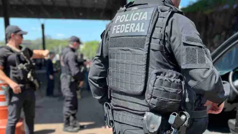 Apreensões de contrabando, drogas e produtos irregulares marcam ações policiais no Paraná e São Paulo