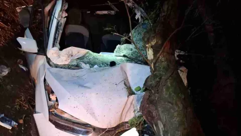 Homem morre após carro ser atingido por peça de caminhão na PR-495 em Missal