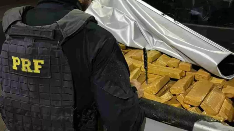 Carga de quase 350 quilos de droga apreendida na BR-277 seria levada para Cascavel