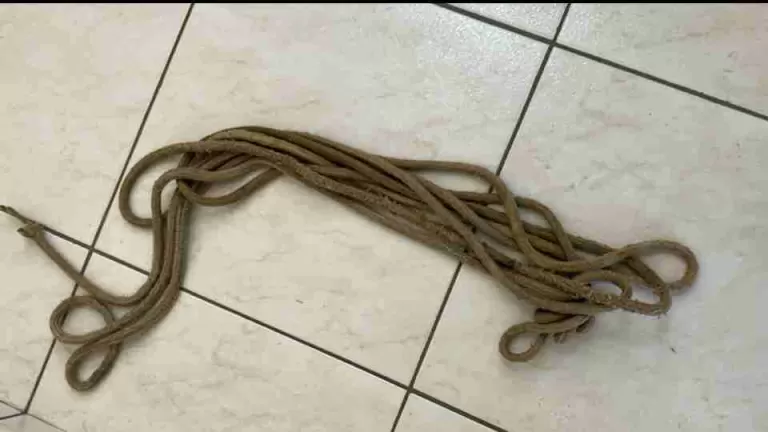 Jovem é preso suspeito de induzir adolescente ao suicídio