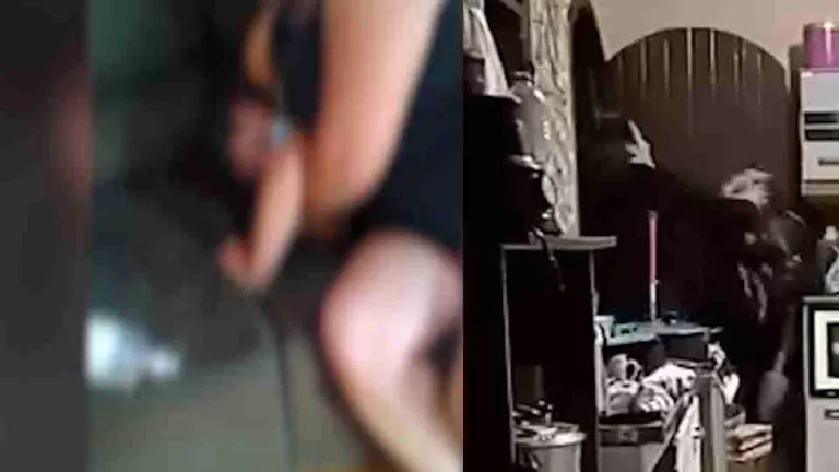 MP denuncia mãe por tortura contra filhos após agressões filmadas em Palmeira