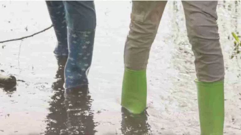 Com previsão de chuva acima da média, Saúde reforça cuidados contra leptospirose no outono