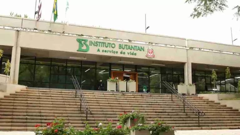 Butantan produzirá remédio contra câncer para o SUS