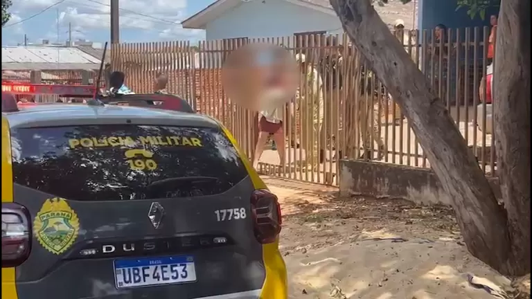 Ataque de pitbull deixa feridos em Cascavel
