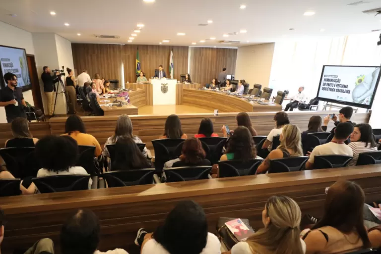 Assembleia Legislativa promove audiência pública sobre violência obstétrica e debate modernização do atendimento à mulher