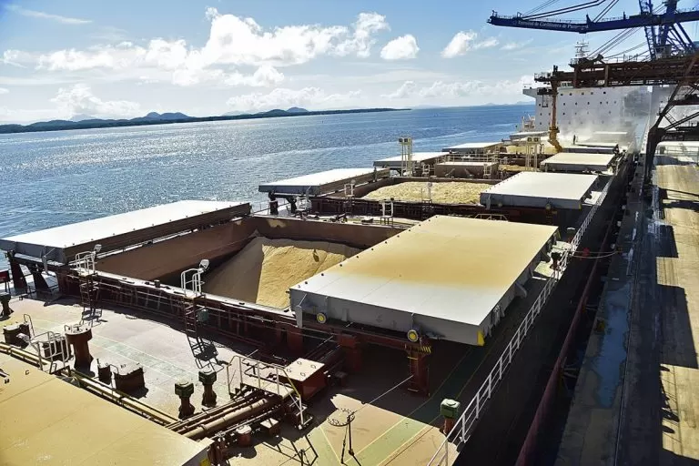 Exigências da China preocupam produtores de soja