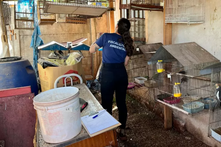 Operação entre IAT e PCPR resgata 42 aves de cativeiro em Assis Chateaubriand