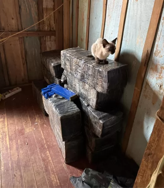 Mais 273 quilos de maconha são apreendidos em Mercedes