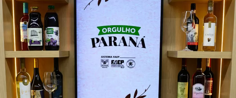 Paraná avança para se tornar referência na produção de vinhos