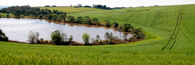 Sistema Faep é contra cobrança do uso da água de rios para a produção de alimentos