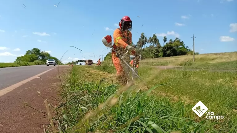 Via Campo abre 400 vagas no Oeste e Norte do Paraná