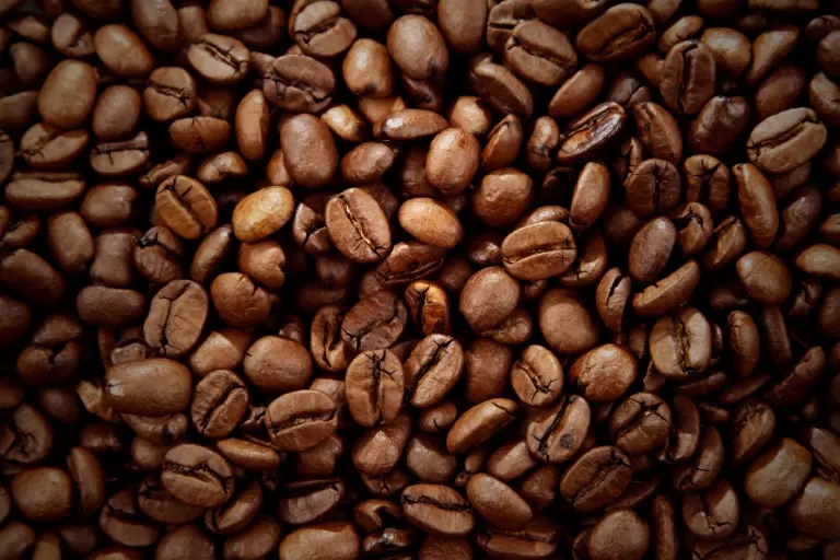 Sistema Faep promove reuniões sobre o Concurso Café Qualidade Paraná 2026