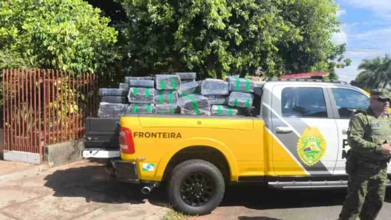Polícia prende homem e apreende 1,4 tonelada de maconha em residência