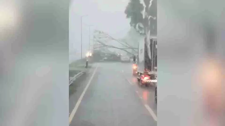 Temporal derruba árvores e bloqueia BR-277 em Santa Terezinha de Itaipu
