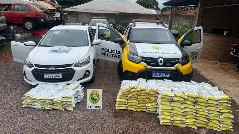 Homem é preso com mais de 300 quilos de agrotóxicos contrabandeados em Terra Roxa