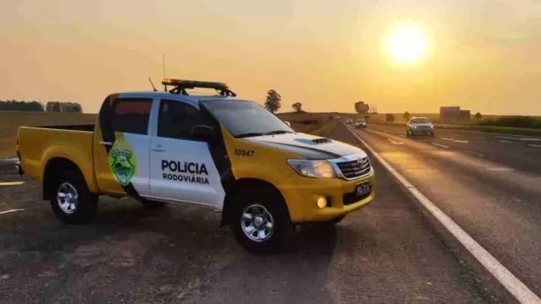 Ônibus com quase R$ 1,5 milhão em medicamentos irregulares é apreendido na BR-369 em Cascavel