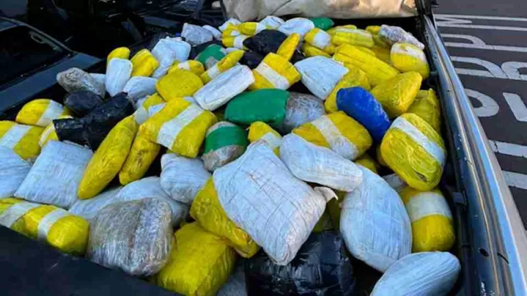 Quase 500 quilos de maconha e capulho são apreendidos pela Polícia Militar em Toledo