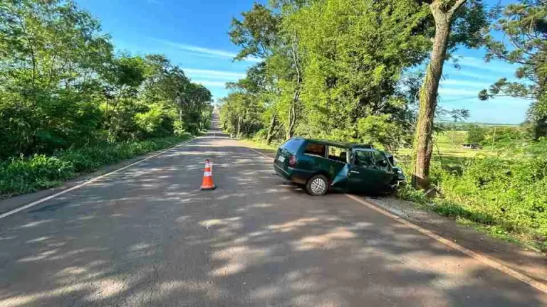 Mulher fica gravemente ferida após carro bater contra árvore na PR-497