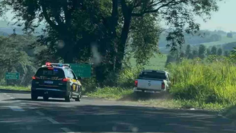 Mais de 470 quilos de skunk são apreendidos após fuga na PR-317