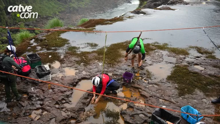 Limpeza nas Cataratas do Iguaçu recolhe 383 quilos de moedas jogadas por visitantes