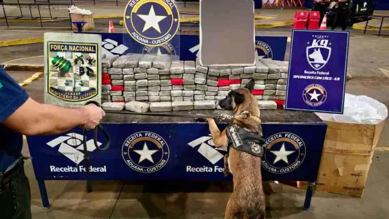 Cão policial identifica carro com quase 135 quilos de maconha em Foz do Iguaçu