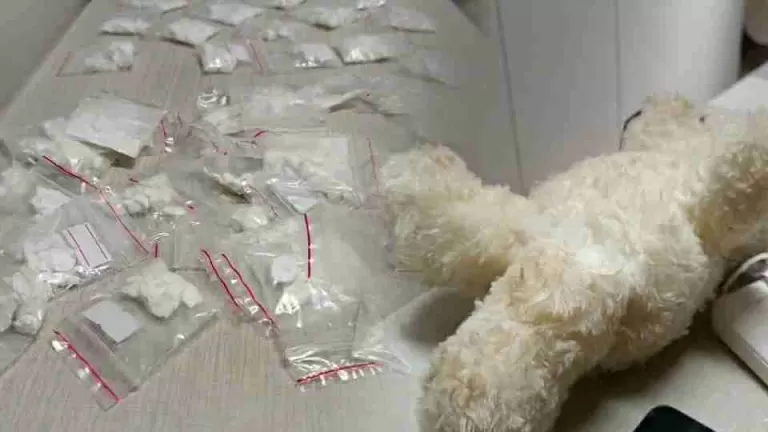 Jovem é preso com droga escondida em urso de pelúcia em Toledo