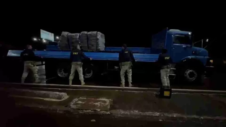 Mais de 1 tonelada de maconha é apreendida em caminhão com fundo falso