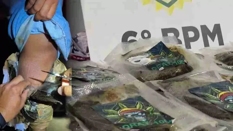 Mulheres são presas com 5,1 quilos de haxixe colados ao corpo na BR-277