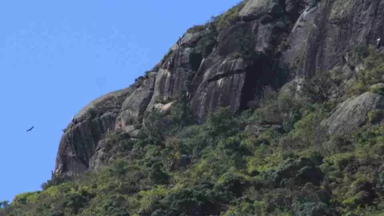 Temporada de montanhas no Paraná: veja dicas para garantir um passeio seguro