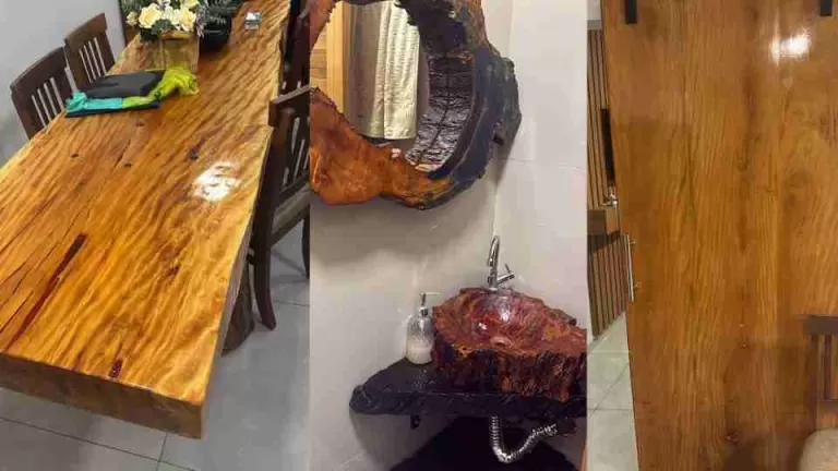 Operação da PF mira crimes ambientais na região do Parque Nacional do Iguaçu